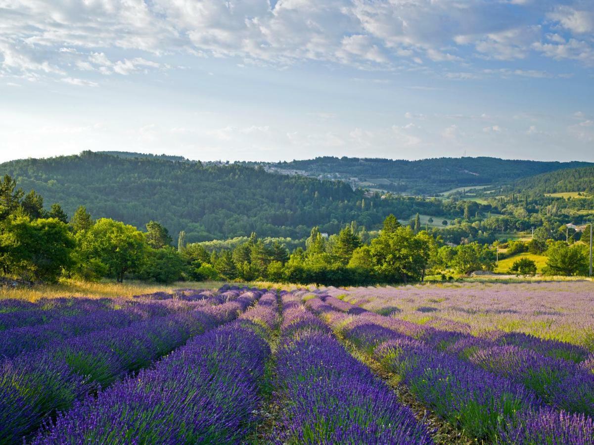 Le Jas De Verdolier Sault-de-Vaucluse Bagian luar foto