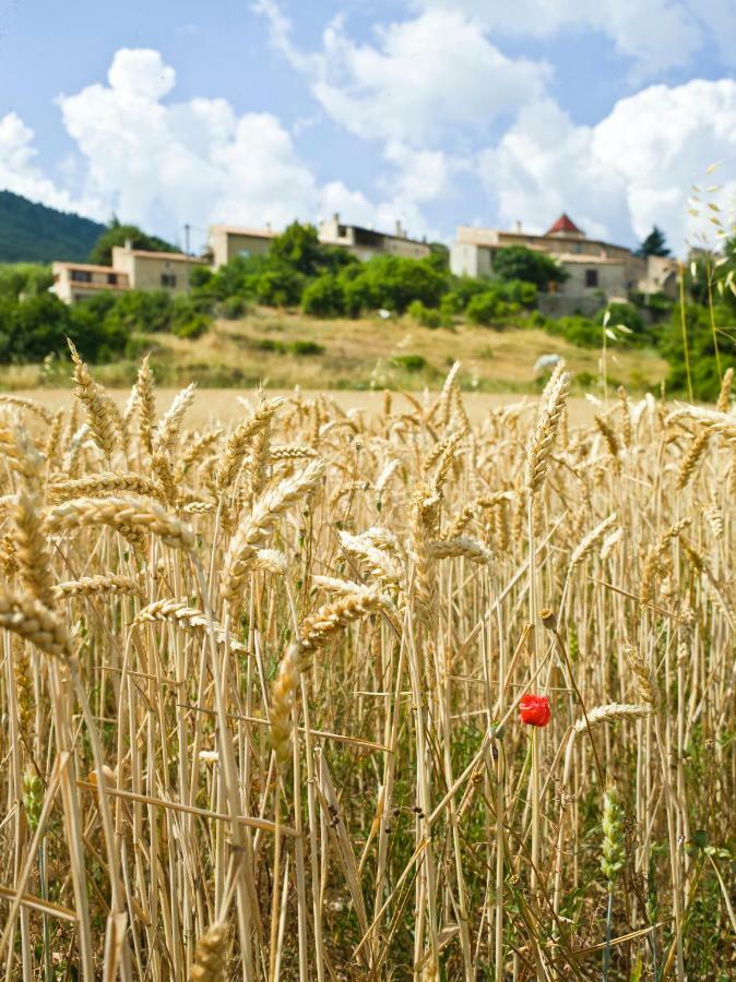 Le Jas De Verdolier Sault-de-Vaucluse Bagian luar foto
