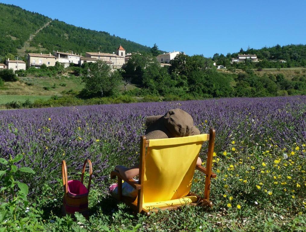 Le Jas De Verdolier Sault-de-Vaucluse Bagian luar foto
